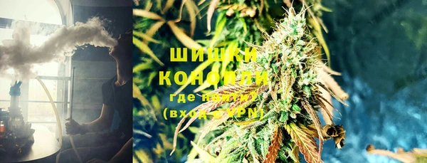 гидропоника Богданович