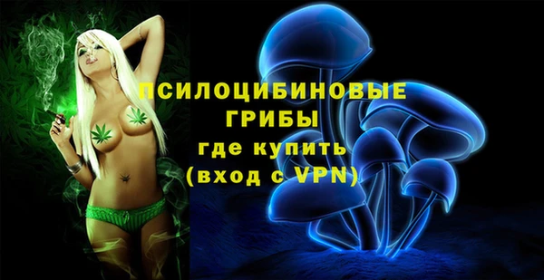 a pvp Богородицк